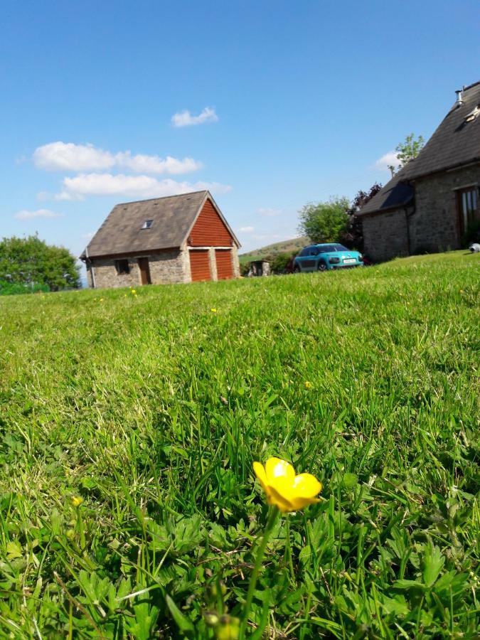 The Barn Annexe, Cefn-Yr-Allt Crickadarn Exterior foto